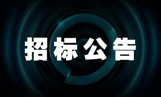 2024年广东星空网页版在线登录入口(官方)网站/网页版登录入口/手机版,科技集团股份有限公司干线物流服务投标公告